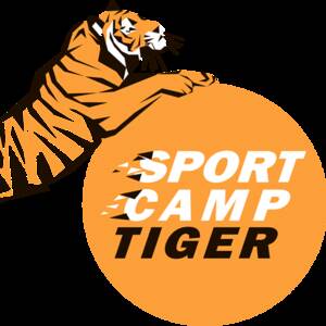 Детский лагерь Літній табір "Multi-Sport Camp Tiger" Хотяновка