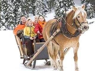 Катание на санях, запряженных лошадью по зимнему лесу. База отдыха Успех