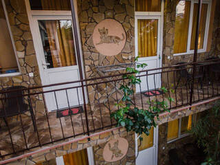 Мини-гостиница Гостевой дом «Рыжий кот» Алушта, АР Крым