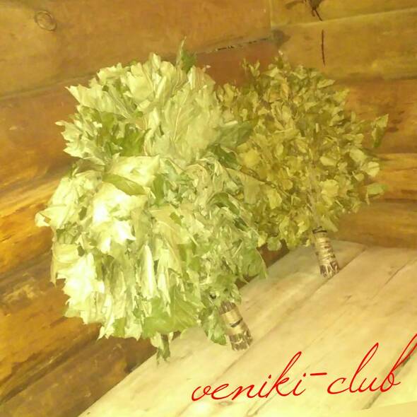 Баня(від  2годин для 5людей) - Veniki-club