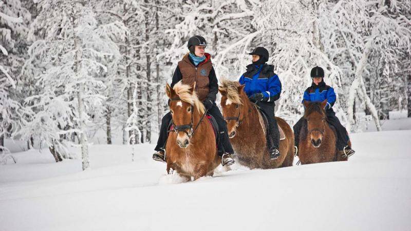Пакеты от комплекса! -30%