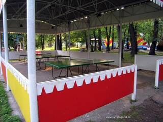Святогорск детский лагерь Чкалова теннисный корт